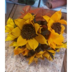 GIRASOLI AUTUNNALI KIT
