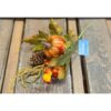 BOTANICA ZUCCA CON PIGNA 30CM.