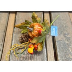 BOTANICA ZUCCA CON PIGNA 30CM.