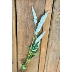BOTANICA SPAZZOLE 40CM