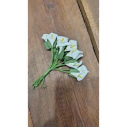 PISTILLI CALLA 1MAZZETTO (12 FIORI)