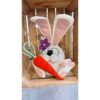 FRANCI IL CONIGLIO SALMONE KIT
