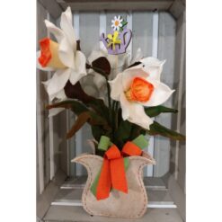 NARCISO KIT