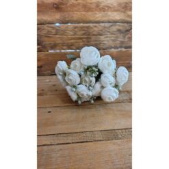 BOTANICA RANUNCOLO