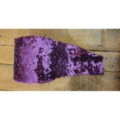 NASTRO PAILLETTES LILLA