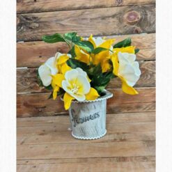AQUILEGIA IN VASO GIALLA KIT