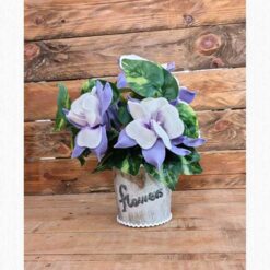 AQUILEGIA IN VASO LILLA KIT