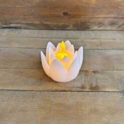 FIORE LED