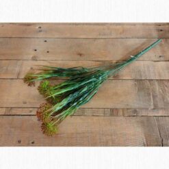 BOTANICA SOFFIONI H. 30CM