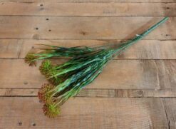 BOTANICA SOFFIONI H. 30CM