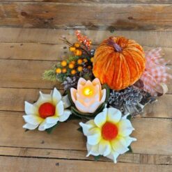 ZUCCA LUMINOSA KIT