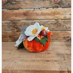 ZUCCA GIGANTE KIT