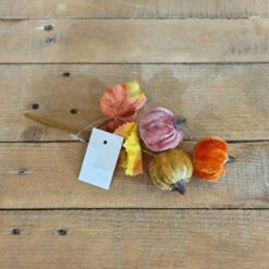 PICK ZUCCHE VELLUTO 20CM.