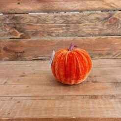 ZUCCA IN VELLUTO DIAM. 13CM