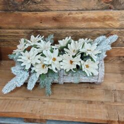 STELLE ALPINE THUIA VERDE KIT